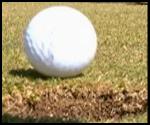 St J Country Club